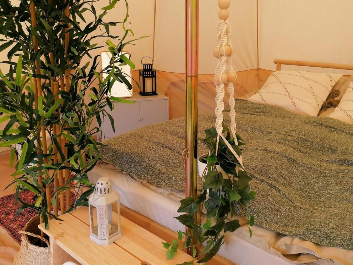 Guesthouse Gjoel Gjøl Dış mekan fotoğraf