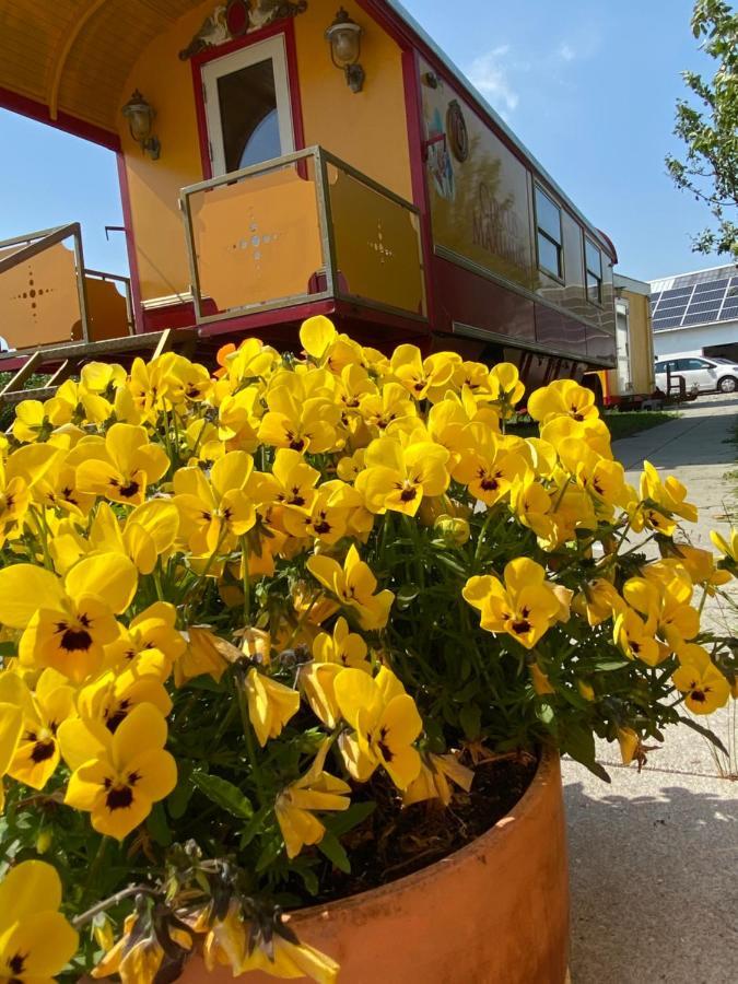 Guesthouse Gjoel Gjøl Dış mekan fotoğraf